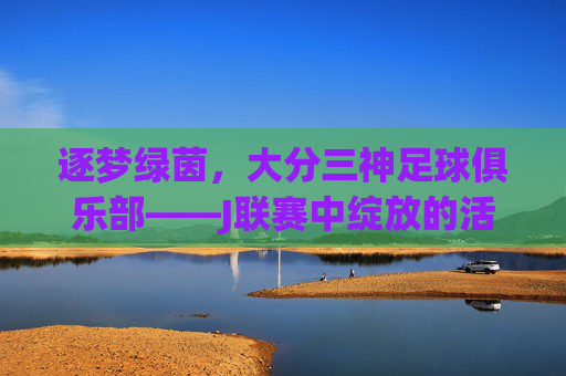 逐梦绿茵,大分三神足球俱乐部——J联赛中绽放的活力与希望,逐梦绿茵,大分三神足球俱乐部——J联赛中绽放的活力与希望