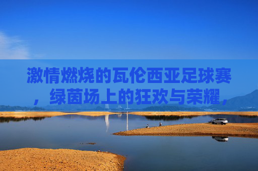 激情燃烧的瓦伦西亚足球赛，绿茵场上的狂欢与荣耀，激情燃烧的瓦伦西亚足球赛，绿茵场上的狂欢与荣耀
