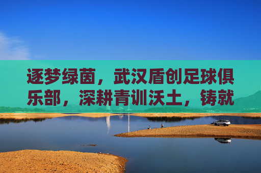 逐梦绿茵，武汉盾创足球俱乐部，深耕青训沃土，铸就青春足球新篇章，逐梦绿茵，武汉盾创足球俱乐部深耕青训沃土，铸就青春足球新篇章