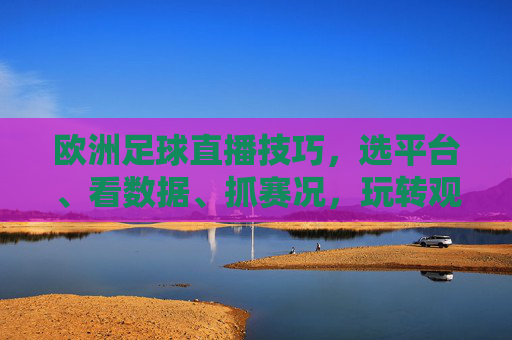 欧洲足球直播技巧,选平台、看数据、抓赛况,玩转观赛体验,欧洲足球直播技巧,选平台、看数据、抓赛况,玩转观赛体验