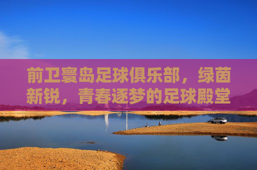 前卫寰岛足球俱乐部,绿茵新锐,青春逐梦的足球殿堂
