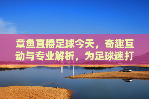 章鱼直播足球今天，奇趣互动与专业解析，为足球迷打造沉浸式观赛新体验，章鱼直播足球，奇趣互动与专业解析，为足球迷打造沉浸式观赛新体验