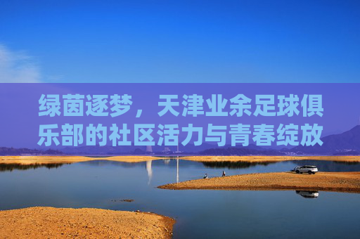 绿茵逐梦，天津业余足球俱乐部的社区活力与青春绽放，绿茵逐梦，天津业余足球俱乐部的社区活力与青春绽放