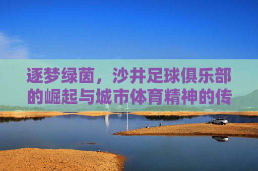 逐梦绿茵,沙井足球俱乐部的崛起与城市体育精神的传承,逐梦绿茵,沙井足球俱乐部的崛起与城市体育精神的传承