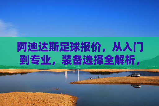阿迪达斯足球报价,从入门到专业,装备选择全解析,阿迪达斯足球报价,从入门到专业,装备选择全解析