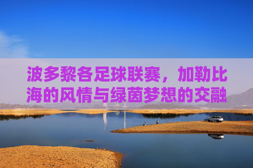 波多黎各足球联赛，加勒比海的风情与绿茵梦想的交融，波多黎各足球联赛，加勒比海的风情与绿茵梦想的交融