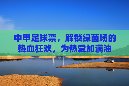 中甲足球票,解锁绿茵场的热血狂欢,为热爱加满油