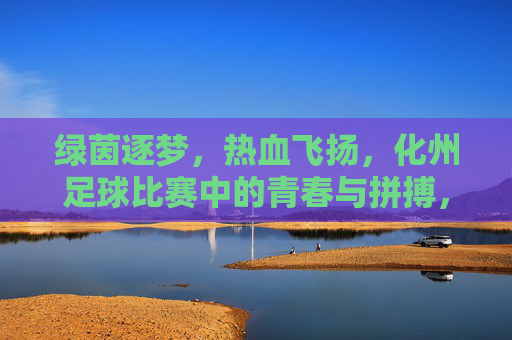 绿茵逐梦，热血飞扬，化州足球比赛中的青春与拼搏，绿茵逐梦，热血飞扬，化州足球比赛中的青春与拼搏