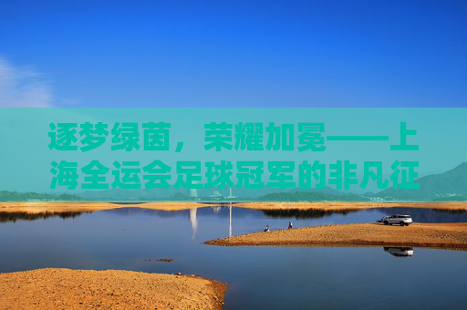 逐梦绿茵,荣耀加冕——上海全运会足球冠军的非凡征程,逐梦绿茵,荣耀加冕——上海全运会足球冠军的非凡征程