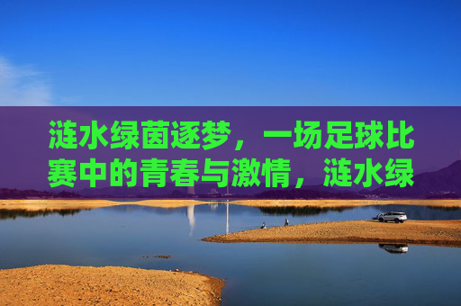 涟水绿茵逐梦,一场足球比赛中的青春与激情,涟水绿茵逐梦,一场足球比赛中的青春与激情