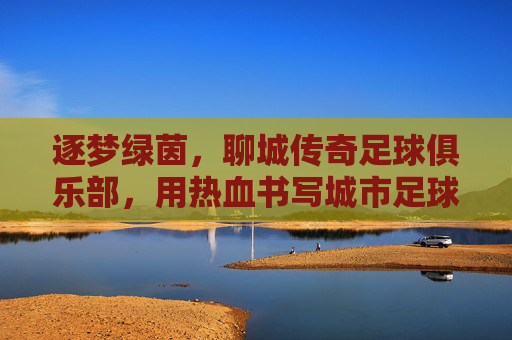 逐梦绿茵，聊城传奇足球俱乐部，用热血书写城市足球新篇章，逐梦绿茵，聊城传奇足球俱乐部，用热血书写城市足球新篇章