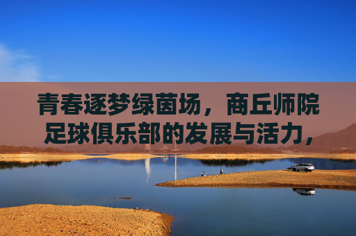 青春逐梦绿茵场，商丘师院足球俱乐部的发展与活力，青春逐梦绿茵场，商丘师院足球俱乐部的发展与活力