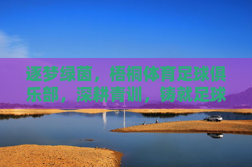 逐梦绿茵，梧桐体育足球俱乐部，深耕青训，铸就足球未来，逐梦绿茵，梧桐体育足球俱乐部深耕青训，铸就足球未来