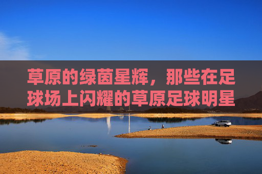 草原的绿茵星辉，那些在足球场上闪耀的草原足球明星，草原的绿茵星辉，那些在足球场上闪耀的草原足球明星