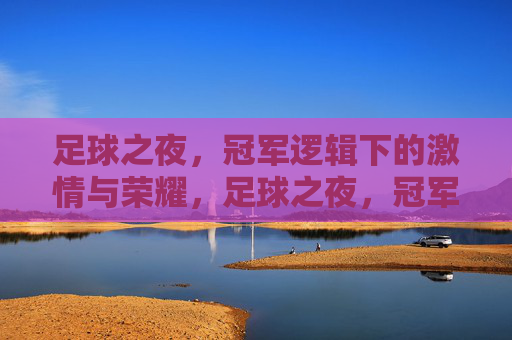 足球之夜,冠军逻辑下的激情与荣耀,足球之夜,冠军逻辑下的激情与荣耀