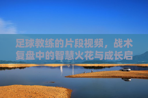 足球教练的片段视频,战术复盘中的智慧火花与成长启示,足球教练的片段视频,战术复盘中的智慧火花与成长启示