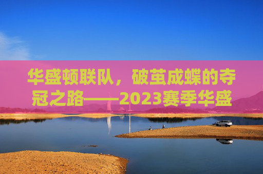 华盛顿联队，破茧成蝶的夺冠之路——2023赛季华盛顿足球荣耀加冕记，华盛顿联队，破茧成蝶的夺冠之路——2023赛季华盛顿足球荣耀加冕记