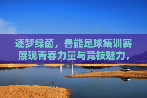 逐梦绿茵，鲁能足球集训赛展现青春力量与竞技魅力，逐梦绿茵，鲁能足球集训赛展现青春力量与竞技魅力