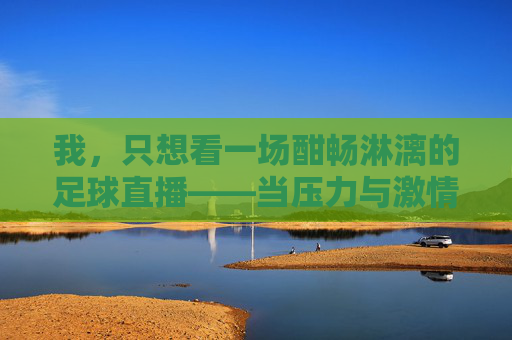 我，只想看一场酣畅淋漓的足球直播——当压力与激情在屏幕上交汇时，酣畅淋漓的足球直播，当压力与激情在屏幕上交汇时