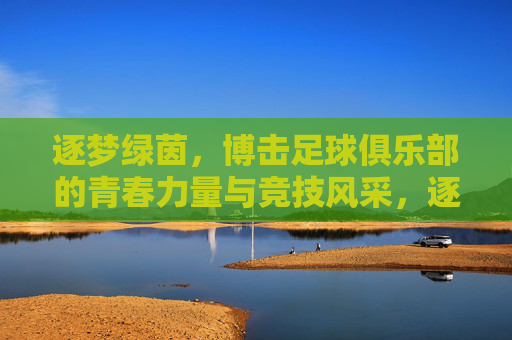 逐梦绿茵,博击足球俱乐部的青春力量与竞技风采,逐梦绿茵,博击足球俱乐部的青春力量与竞技风采