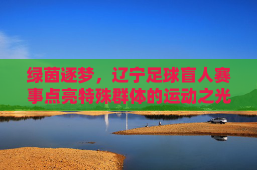 绿茵逐梦,辽宁足球盲人赛事点亮特殊群体的运动之光,绿茵逐梦,辽宁盲人足球赛事点亮特殊群体的运动之光