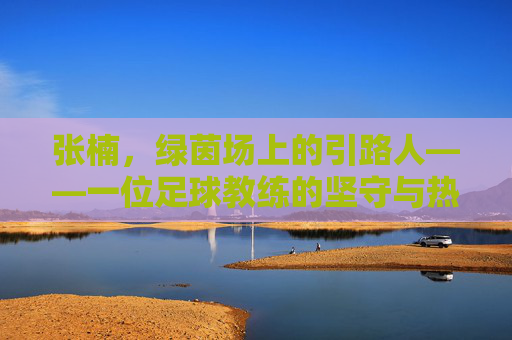 张楠，绿茵场上的引路人——一位足球教练的坚守与热爱，张楠，绿茵场上的引路人——一位足球教练的坚守与热爱
