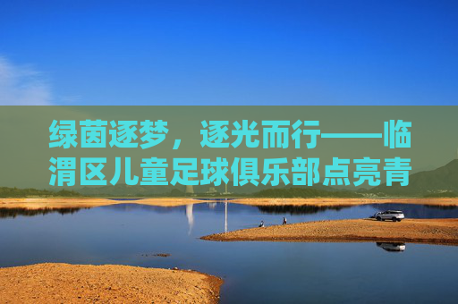 绿茵逐梦，逐光而行——临渭区儿童足球俱乐部点亮青少年足球新篇章，绿茵逐梦，逐光而行——临渭区儿童足球俱乐部点亮青少年足球新篇章