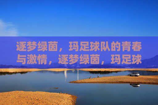 逐梦绿茵，玛足球队的青春与激情，逐梦绿茵，玛足球队的青春与激情