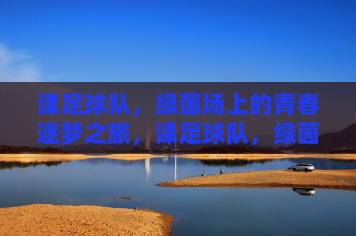 课足球队，绿茵场上的青春逐梦之旅，课足球队，绿茵场上的青春逐梦之旅