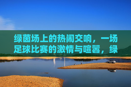 绿茵场上的热闹交响,一场足球比赛的激情与喧嚣,绿茵场上的热闹交响,一场足球比赛的激情与喧嚣