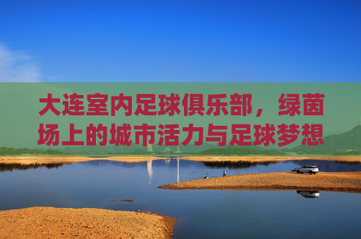 大连室内足球俱乐部,绿茵场上的城市活力与足球梦想的栖息地,大连室内足球俱乐部,绿茵场上的城市活力与足球梦想的栖息地