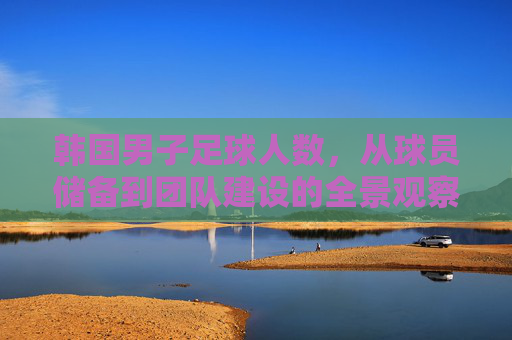 韩国男子足球人数，从球员储备到团队建设的全景观察，韩国男子足球，从球员储备到团队建设的全景观察