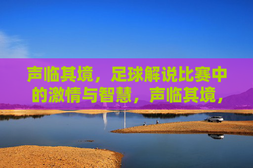 声临其境，足球解说比赛中的激情与智慧，声临其境，足球解说比赛中的激情与智慧
