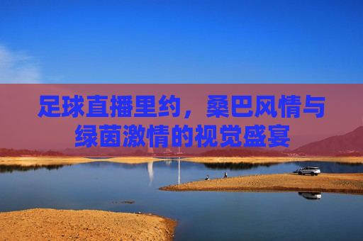 足球直播里约,桑巴风情与绿茵激情的视觉盛宴