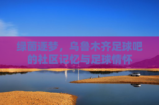 绿茵逐梦,乌鲁木齐足球吧的社区记忆与足球情怀