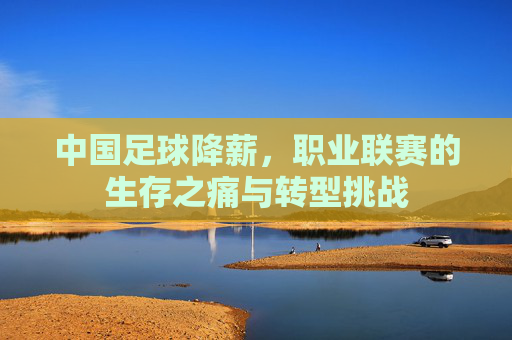 中国足球降薪,职业联赛的生存之痛与转型挑战