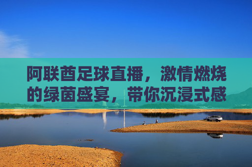 阿联酋足球直播,激情燃烧的绿茵盛宴,带你沉浸式感受中东足球魅力