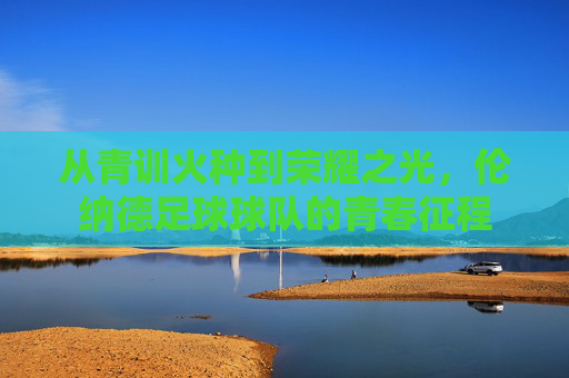 从青训火种到荣耀之光,伦纳德足球球队的青春征程