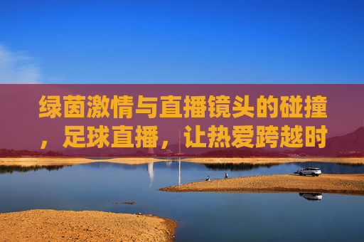 绿茵激情与直播镜头的碰撞，足球直播，让热爱跨越时空