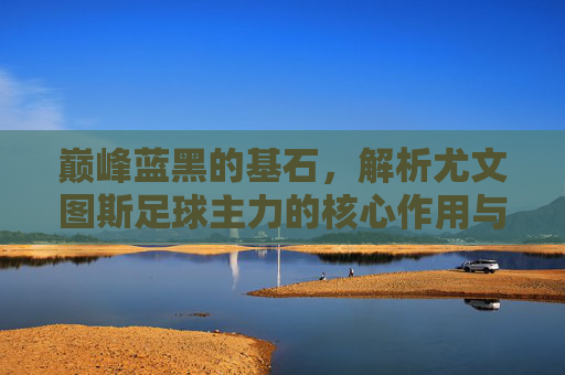 巅峰蓝黑的基石,解析尤文图斯足球主力的核心作用与荣耀传承