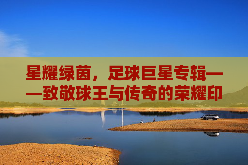 星耀绿茵,足球巨星专辑——致敬球王与传奇的荣耀印记