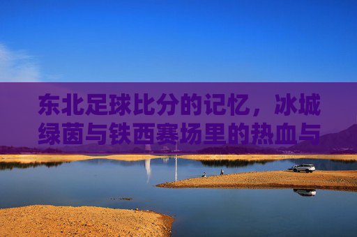 东北足球比分的记忆，冰城绿茵与铁西赛场里的热血与传承，东北足球比分的记忆，冰城绿茵与铁西赛场的热血传承