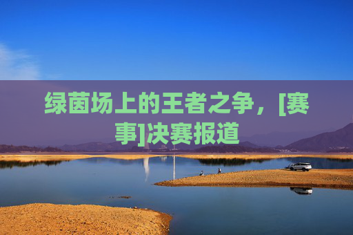 绿茵场上的王者之争，[赛事]决赛报道