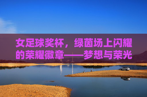 女足球奖杯，绿茵场上闪耀的荣耀徽章——梦想与荣光的见证者