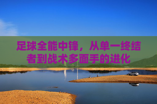 足球全能中锋,从单一终结者到战术多面手的进化