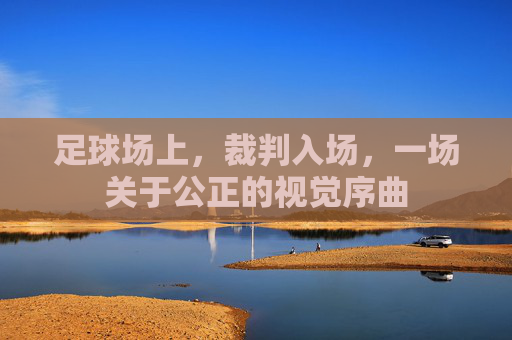 足球场上，裁判入场，一场关于公正的视觉序曲