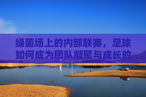 绿茵场上的内部联赛，足球如何成为团队凝聚与成长的催化剂