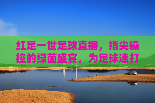 红足一世足球直播,指尖操控的绿茵盛宴,为足球迷打造的实时观赛新体验