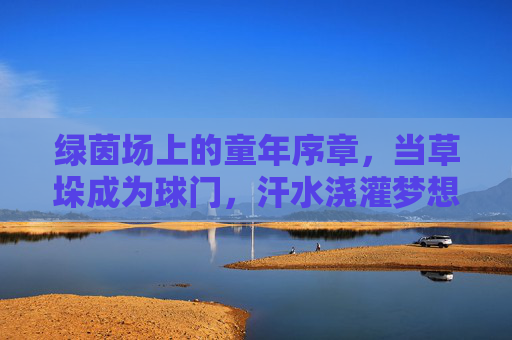 绿茵场上的童年序章,当草垛成为球门,汗水浇灌梦想,绿茵场上的童年序章,草垛为门,汗水浇灌梦想