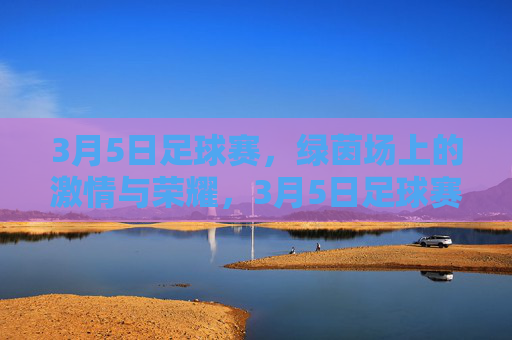 3月5日足球赛，绿茵场上的激情与荣耀，3月5日足球赛，绿茵场上的激情与荣耀
